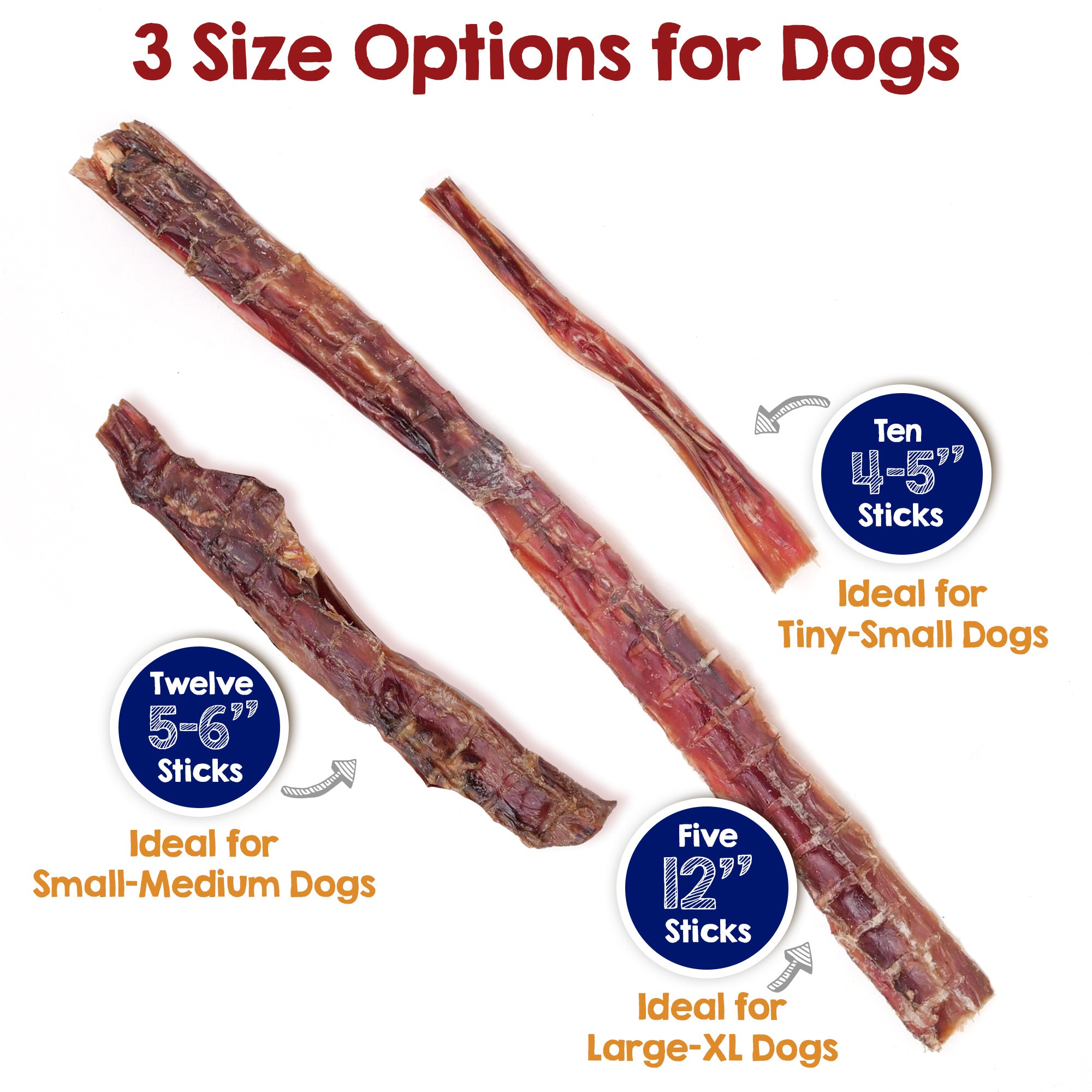 4-SteerStx-sizes_6f7dc5dd-a448-4a06-9d8b-fa529cc3e45d.jpg